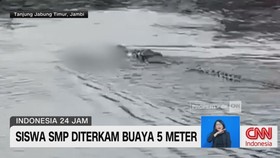 VIDEO: Siswa SMP Tewas Diterkam Buaya 5 Meter
