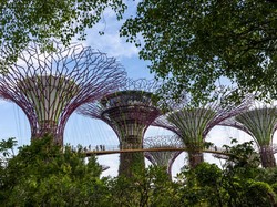 Ogah Terima Traveler Problematik, Singapura Bakal Perketat Gerbang Masuk