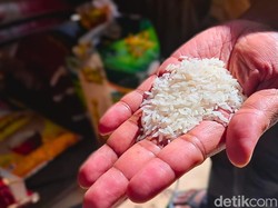 DKPP Tarakan Kirim Sampel Beras Diduga Palsu untuk Diuji di Jakarta