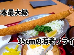 Wow! Ebi Furai Sepanjang 35 Cm di Nagoya Ini Gurihnya Mantap