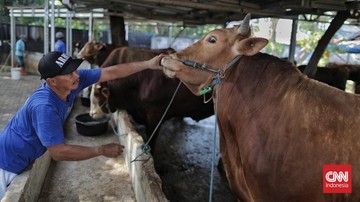 Hukum Membeli Hewan Kurban Diskon, Sah atau Tidak?