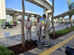 Pramono Tanam 103 Pohon Tabebuya di Cakung: Kita Ingin Jakarta Lebih Hijau