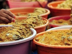 Mengenal Tamba, Ikan Fermentasi Makanan Khas Suku Dayak
