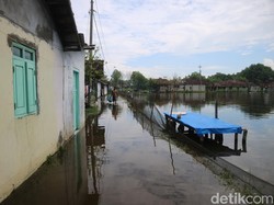 120 Ha Tambak di Tunggulsari Pati Terdampak Rob, Petambak Rugi Miliaran