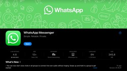 Kata Pakar soal Viral Chat Audio Bisa Bobol Rekening hingga Daftar Pinjol