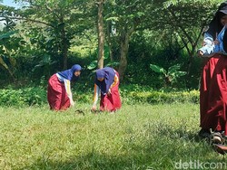 Momen Tak Terlupakan Shaffa Mengenal Tanaman-Permainan Tradisional