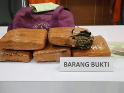 Polisi Bongkar Peredaran Narkoba di Tangerang, 4,8 Kg Ganja Disita