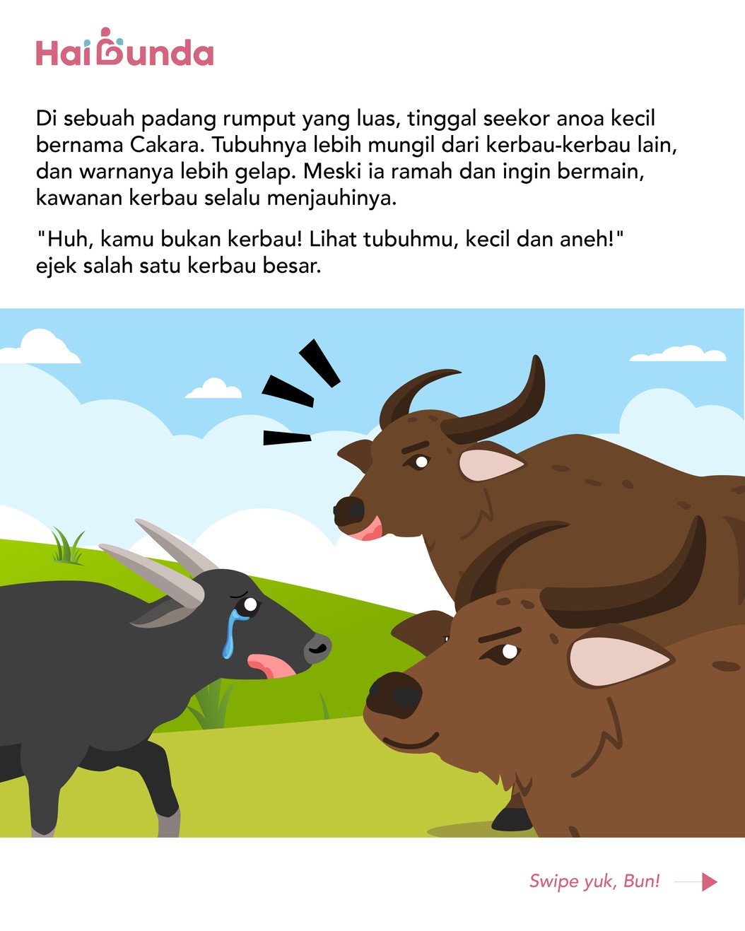 Seekor anoa kecil bernama Cakara, bertubuh lebih mungil dari kerbau lain dan warnanya juga lebih gelap. Meski ia ramah, kawanan kerbau selalu menjauhinya.