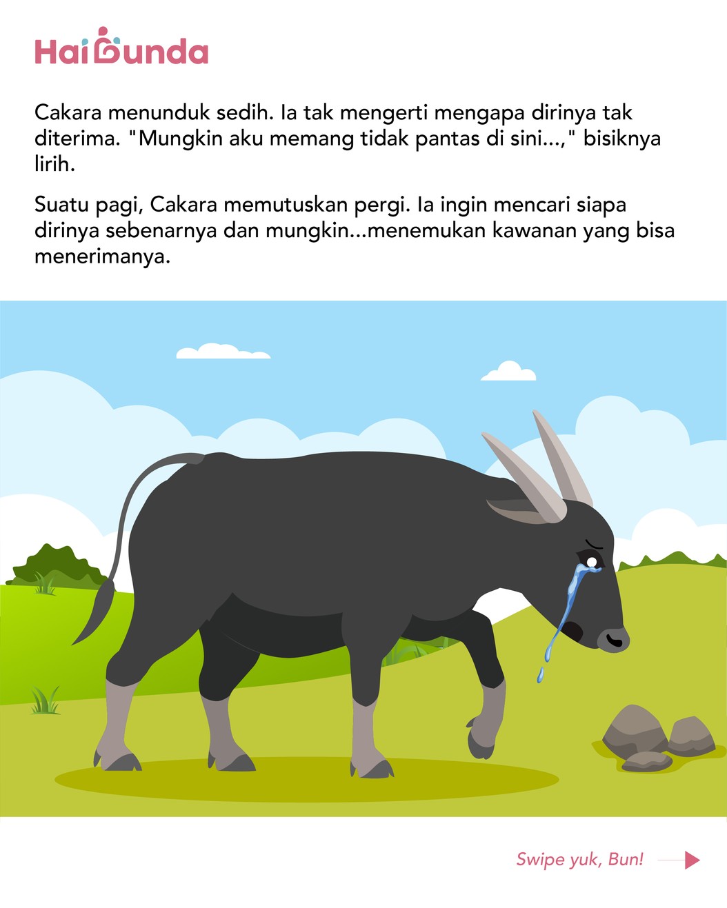 Seekor anoa kecil bernama Cakara, bertubuh lebih mungil dari kerbau lain dan warnanya juga lebih gelap. Meski ia ramah, kawanan kerbau selalu menjauhinya.