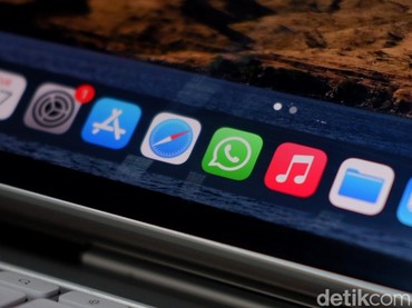 Trik Cek Kontak WhatsApp Pasangan yang Paling Sering Dihubungi, Tanpa Ribet dan Aman