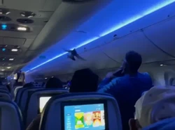 Heboh Merpati Menyelinap ke Kabin, Penerbangan Tertunda Satu Jam