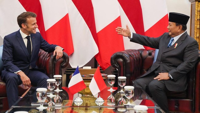 RI-Prancis Akan Teken 12 MoU Kehutanan, Sister Park hingga Iklim Republik Indonesia-Prancis akan meneken nota kesepahaman di 12 area di bidang kehutanan selama momen kunjungan Presiden Emmanuel Macron.