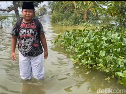 Luapan Anak Sungai Bengawan Solo Rendam Jalan dan Tambak di Lamongan