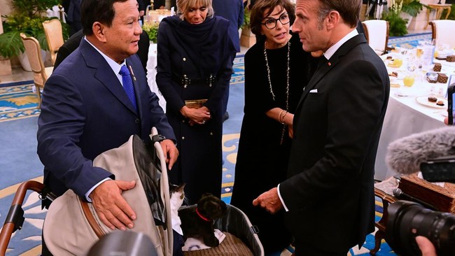 Presiden Prabowo Subianto terlihat memboyong kucingnya, Bobby Kartanegara, bertemu Presiden Prancis Emmanuel Macron dan istri, Brigette Macron, di Istana Negara