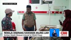 VIDEO: Remaja Diserang Kawanan Anjing Liar