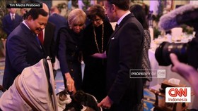VIDEO: Kucing Prabowo 'Bobby Kertanegara' Bertemu Macron