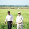 Presiden Prabowo Subianto didampingi Mentan Amran saat kunjungan ke Wanam, Kabupaten Merauke, Papua Selatan, Ahad, 3 November 2024 (Foto : Ist)