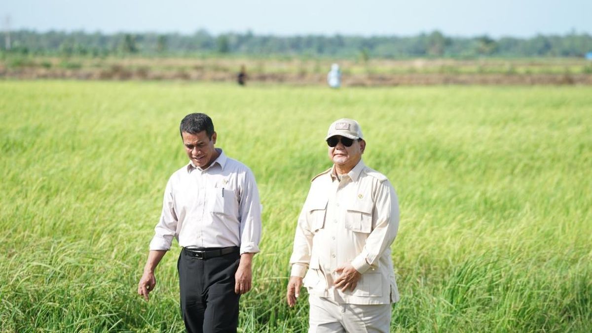 Cadangan Beras Bulog Capai 4 Juta Ton, Mentan Terima Kasih ke Petani