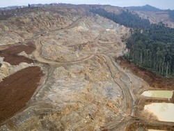 10 Negara dengan Kehilangan Hutan Terbanyak Akibat Pertambangan, RI Pertama?