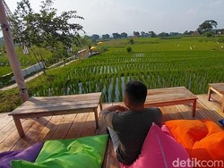 Tera Sawah Cafe Majalengka Tawarkan Sensasi Healing Alami