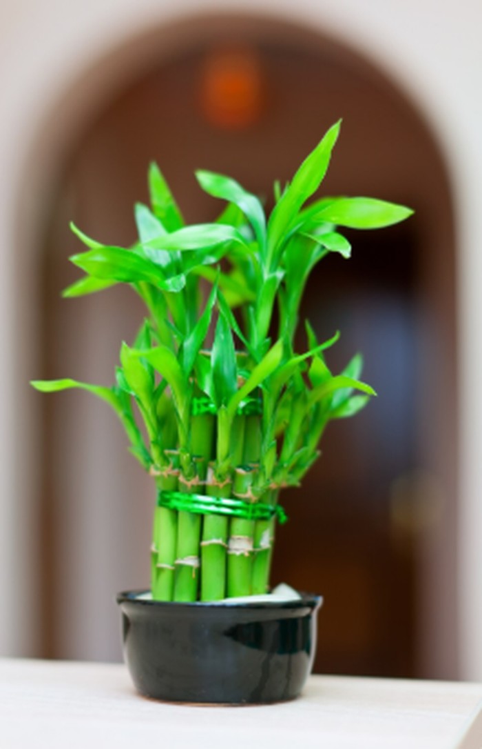 Ilustrasi/Foto: freepik.com/bearfotos