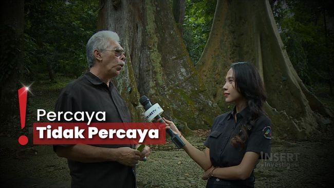 Mitos Jembatan Merah Pemutus Asmara-Pohon Jodoh di Kebun Raya Bogor