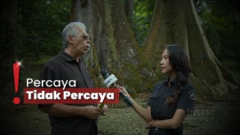 title-image Mitos Jembatan Merah Pemutus Asmara-Pohon Jodoh di Kebun Raya Bogor