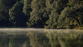 Semeru Ditutup Gegara Karhutla, 170 Pendaki di Ranu Kumbolo Dievakuasi