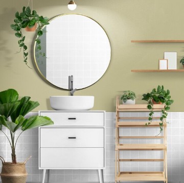 5 Tanaman yang Sebaiknya Ada di Kamar Mandi Menurut Feng Shui, Banyak Manfaatnya!