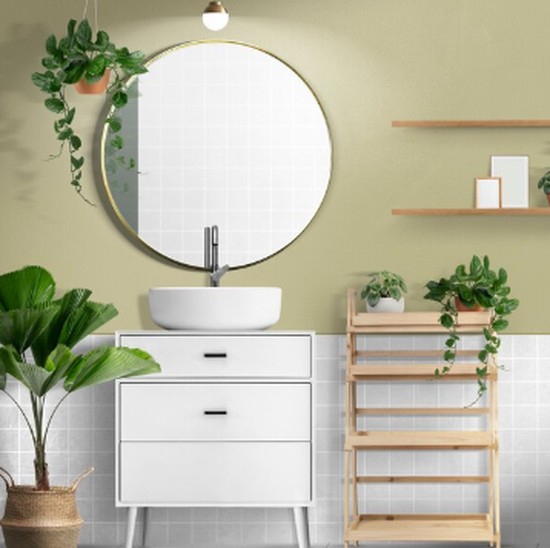 5 Tanaman yang Sebaiknya Ada di Kamar Mandi Menurut Feng Shui, Banyak Manfaatnya!