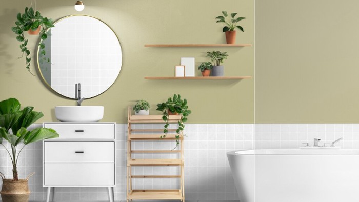 5 Tanaman yang Sebaiknya Ada di Kamar Mandi Menurut Feng Shui, Banyak Manfaatnya!