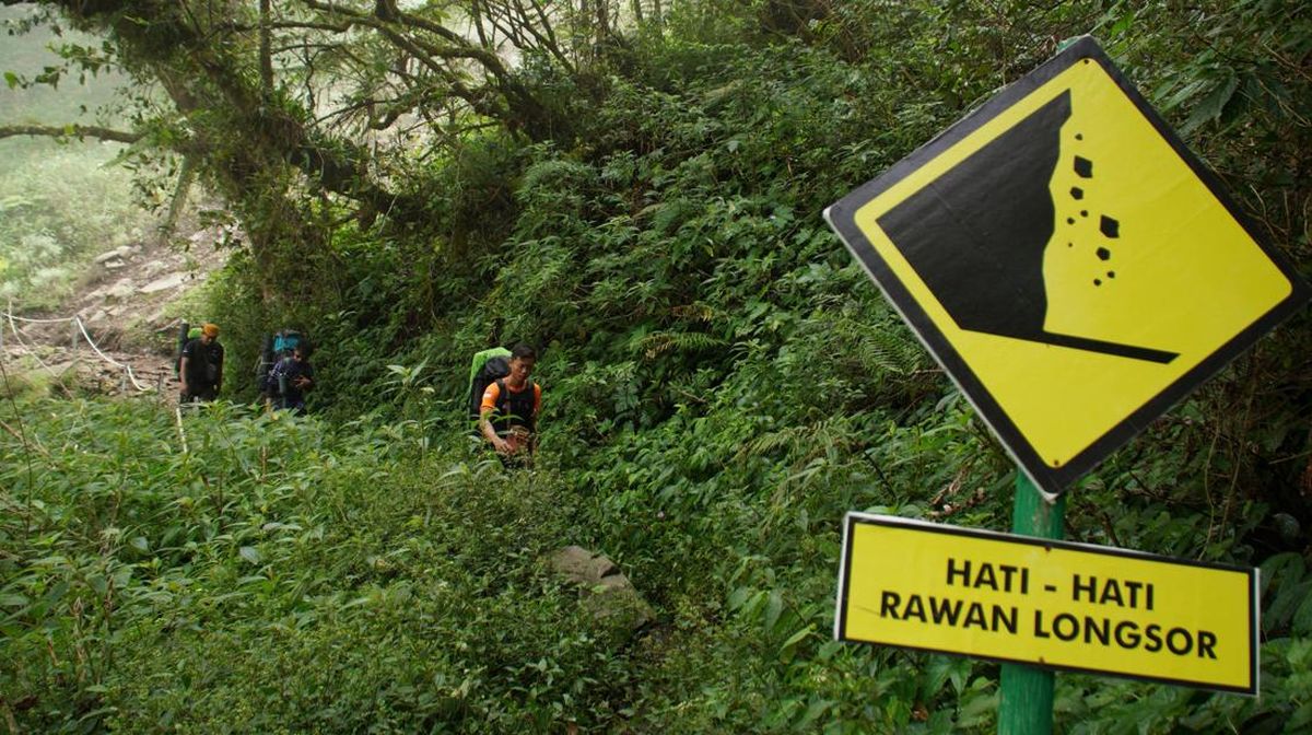 13 Pendaki Ilegal Gunung Semeru Ditangkap, 4 Lainnya Masih Diburu