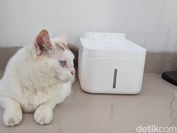 Review Xiaomi Smart Pet Fountain 2: Anabul Sehat, Majikan Tak Repot