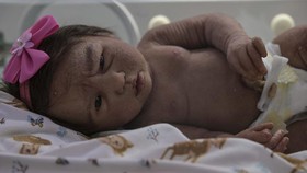 FOTO: Heboh, Demam Boneka Mirip Bayi Sungguhan Melanda Brasil