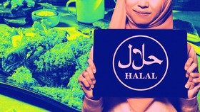 Aturan Cantumkan Keterangan Tak Halal Buntut Kasus Ayam Goreng Widuran