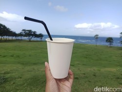 Menikmati Kopi di Hamparan Rumput Pinggir Pantai Gianyar