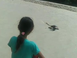 Nenek 67 Tahun di TTS Tewas Terseret Banjir Sungai Noemuke