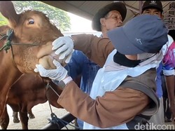 Pedagang-Disnakeswan Lamongan Gelar Upacara Hari Pancasila di Pasar Hewan