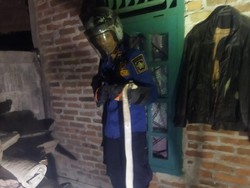 Sederet Fakta 2 Kobra Penyebab Matinya Belasan Ayam di Temon Dievakuasi