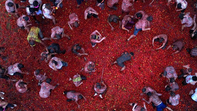 FOTO: Keseruan Festival Perang Tomat di Kolombia