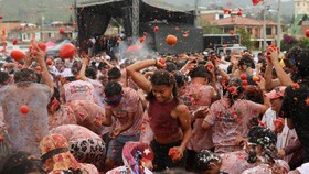 FOTO: Keseruan Festival Perang Tomat di Kolombia