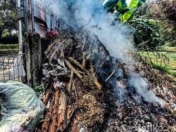 Berkaca dari Kasus di Depok, Ini Cara Lapor Kalau Ada Tetangga Bakar Sampah