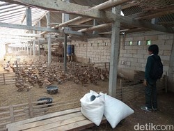 Terciduk Mau Maling Itik, Pelaku Diduga Pasutri Kabur Ninggal Motor