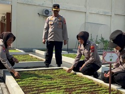 Polresta Sidoarjo Dorong Bhabinkamtibmas Kelola Lahan Ketahanan Pangan