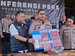 Curi Domba Pakai Avanza, Kakak-Beradik Berakhir di Penjara