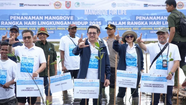 Rehabilitasi mangrove di Kabupaten Tanah Laut, Kalsel ini menjadi bagian komitmen PT Freeport Indonesia menanam 10 ribu hektare mangrove hingga tahun 2041.