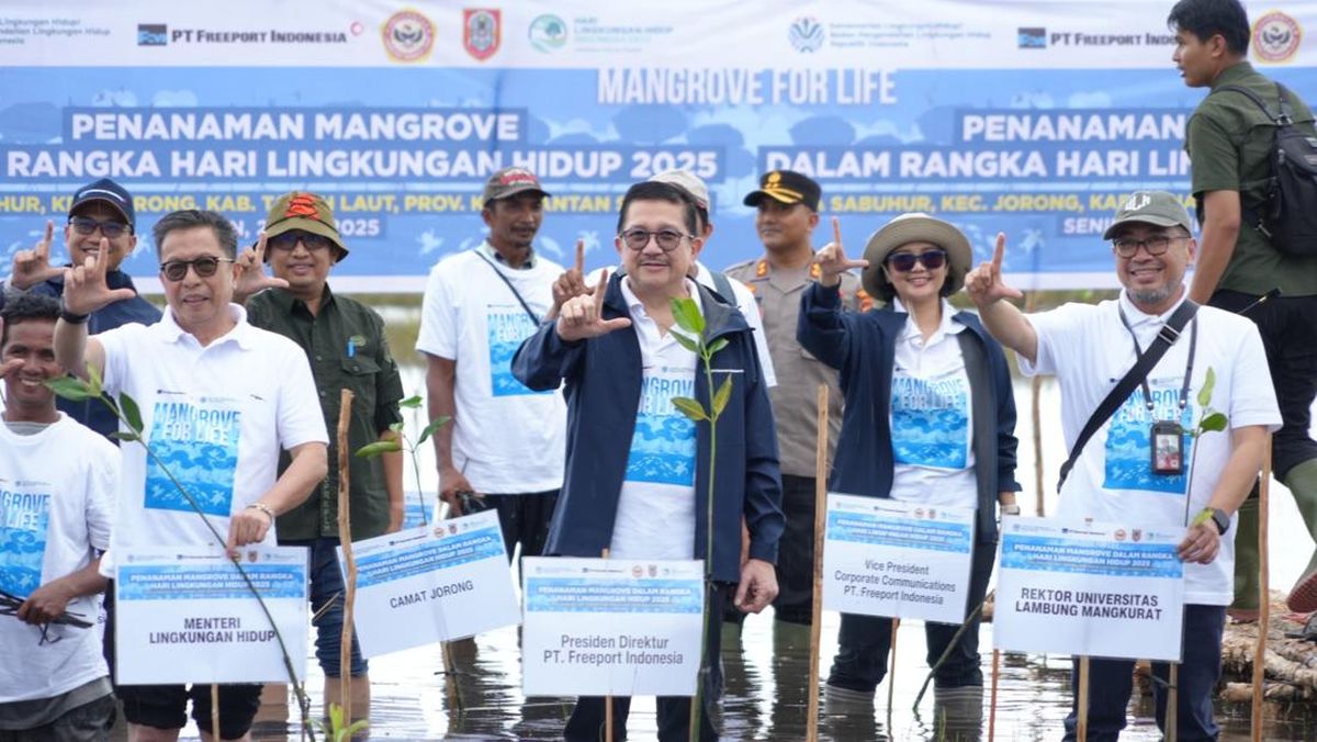 Freeport Gandeng KLH Percepat Program Rehabilitasi Mangrove di Kalsel