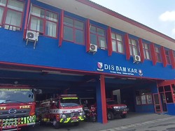 Teror Ulat Bulu Serang Markas Damkar Bandung, Petugas Gatal-Gatal