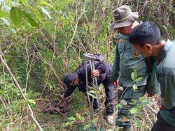 Macan Tutul Jawa Mati Terjerat Kawat di Cisompet Garut