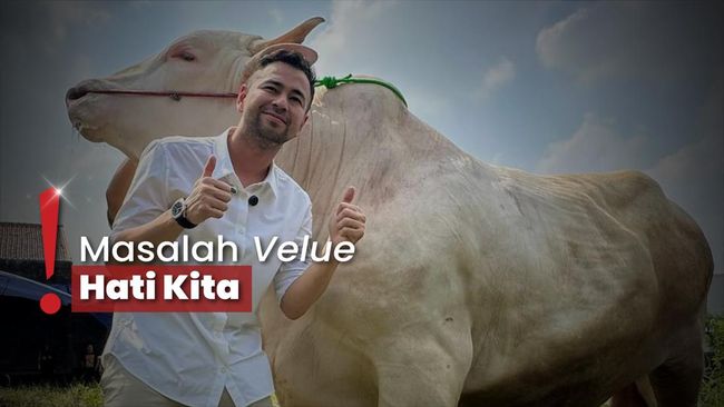 Siapkan 5 Sapi Kurban Jumbo, Raffi Ahmad: Bukan Soal Mahal Nggaknya